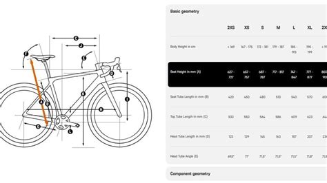 Grafico comparativo delle geometrie tra bici 26