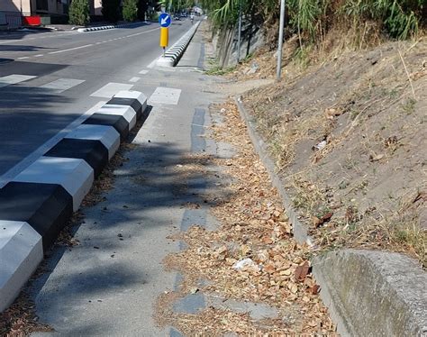 Pista ciclabile con detriti e foglie accumulate, necessita di pulizia