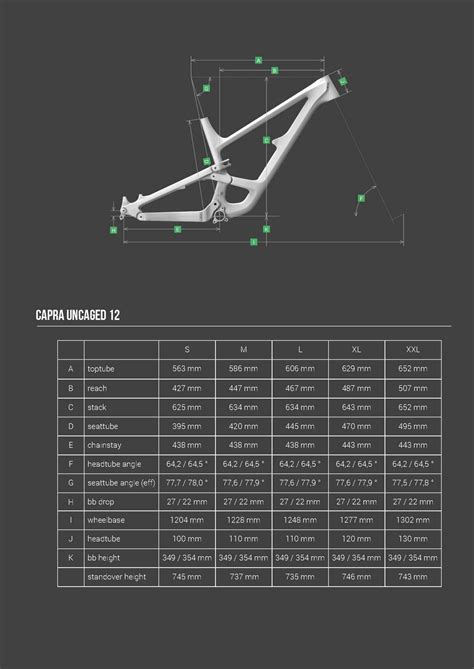 Schema geometria mountain bike con sospensioni anteriori