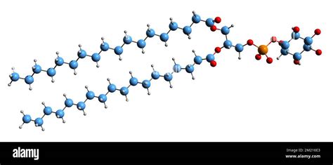 struttura molecolare della CERA