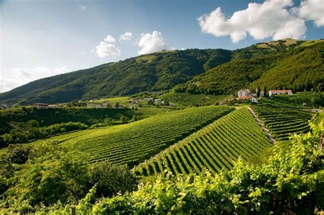 Colline Venete con ciclisti