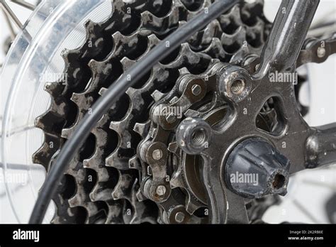 Catena e ingranaggi di una bicicletta