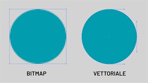 grafica vettoriale di un motore Malossi