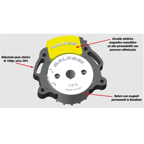 Dettaglio del rotore interno di un'accensione Malossi Selettra