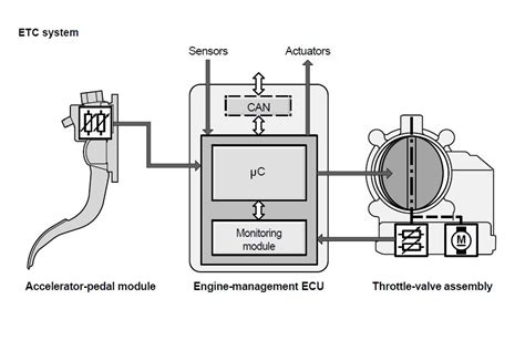 Schema corpo farfallato elettronico