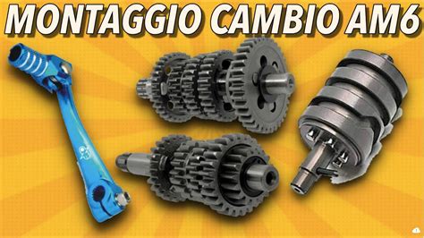 Schema del cambio a 6 marce Minarelli AM6