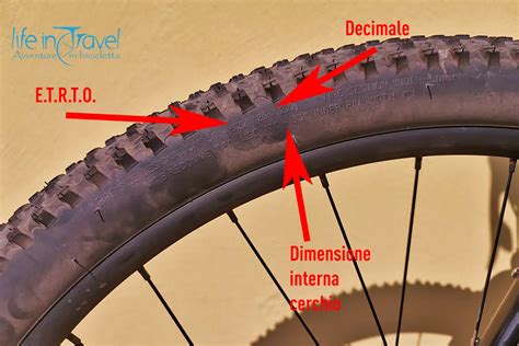 Schema di un pneumatico MTB con inserto protettivo
