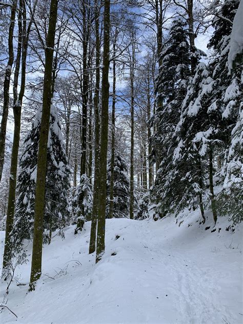 Ciclista su sentiero innevato