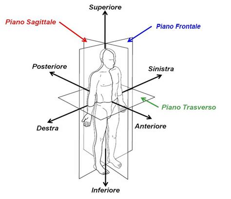 Diagramma del movimento di sterzata di un hoverboard