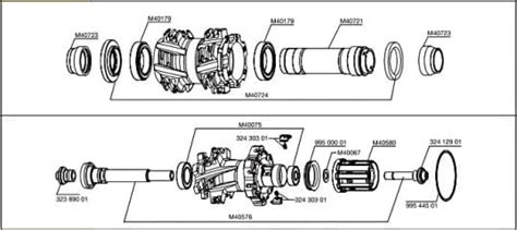 Schema di un corpetto ruota libera con cassetta pignoni