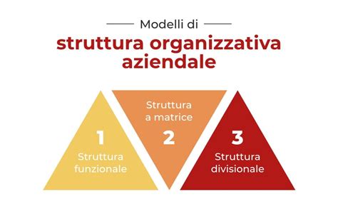 Struttura organizzativa di una fondazione