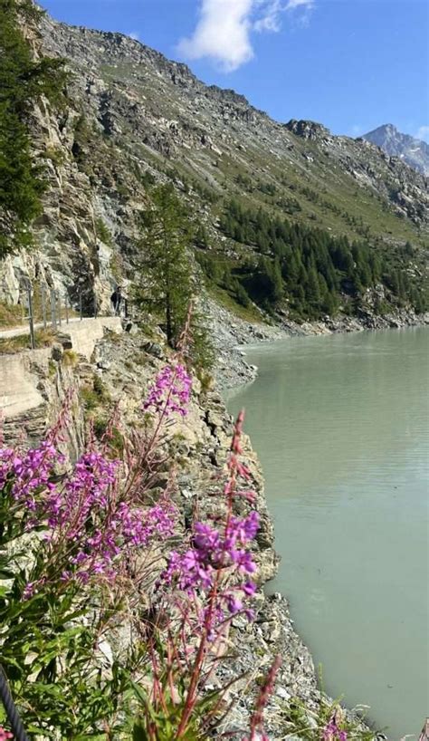 Diga di Campo Moro con ghiacciaio Fellaria sullo sfondo
