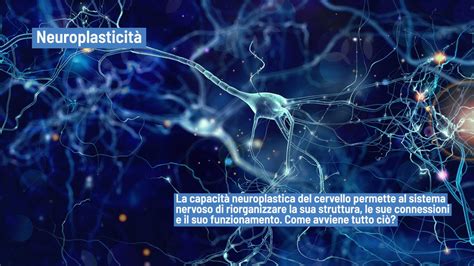 Illustrazione del concetto di neuroplasticità