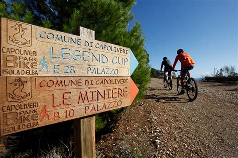 Panorama del Monte Calamita con sentieri per mountain bike