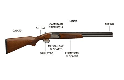 Schema di una rosata concentrata di un fucile da caccia