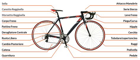 Schema di una guarnitura per bicicletta