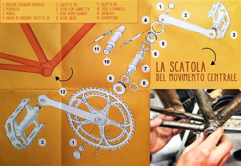 Schema evoluzione movimento centrale bicicletta