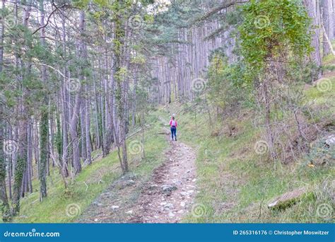 Donna in bicicletta da trail su un sentiero boschivo