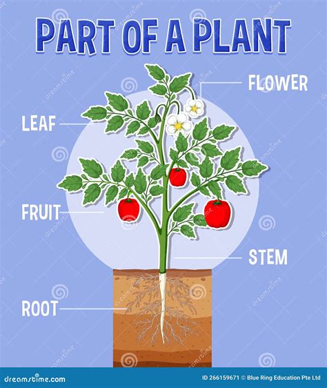 Diagramma che mostra le parti di un casco modulare
