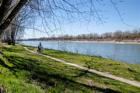 Ciclabile lungo il Canal de Garonne con platani
