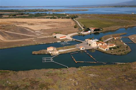 Lo stagno di Thau con le sue ostricolture