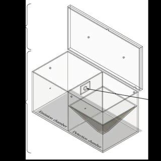 Dettaglio del Detachable Lid System