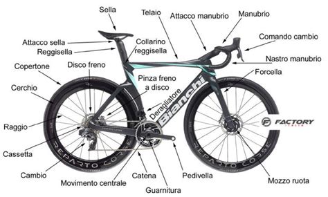 Sezione di un copertone da bicicletta che illustra i vari componenti