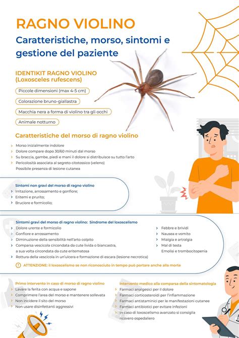 Infografica: Sintomi di una frizione da controllare