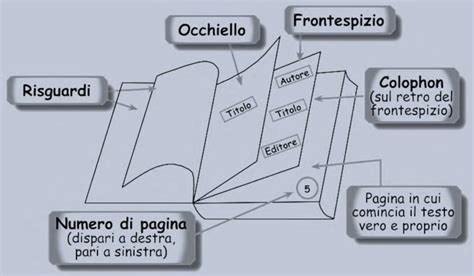 Schema che illustra le diverse parti di un parapendio