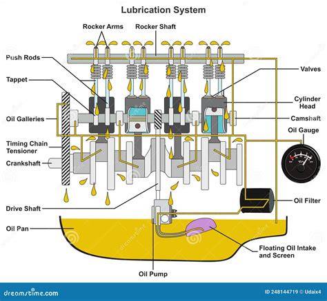 Schema albero motore e sistema lubrificazione BMW