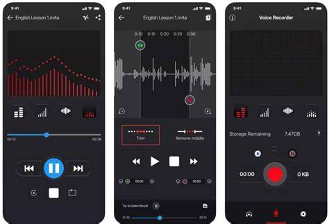 schema funzionalità player e recording
