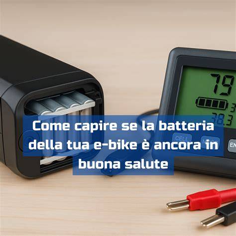 grande circuito grafico della batteria e layout telaio Giant