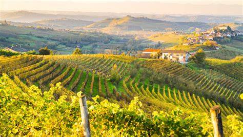 vista panoramica delle colline del Monferrato