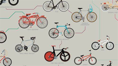 grafico evoluzione Bike Life (timeline)