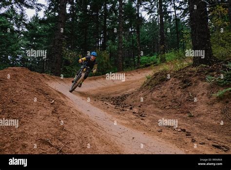 Giro in mountain bike su un sentiero sterrato in un bosco