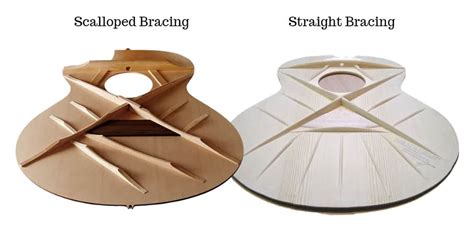 schema scalloped bracing chitarra