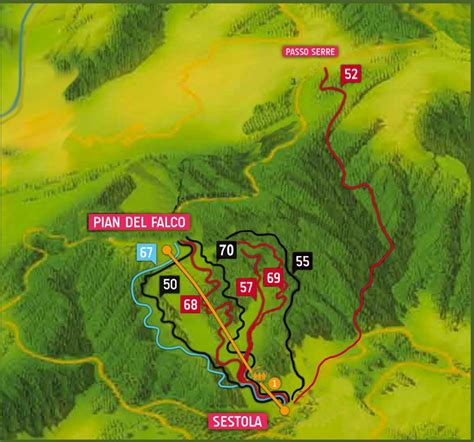 mappa piste downhill sicurezza alberi e vie di fuga