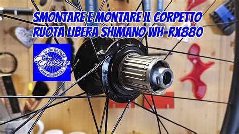 schema smontaggio ruota posteriore bicicletta