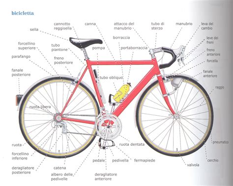 Componenti di una guarnitura da bicicletta