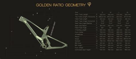 Schema geometrico del telaio Antidote Carbonjack