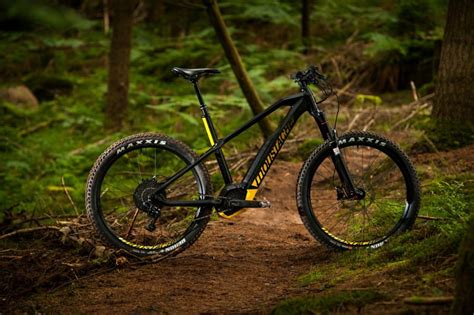 Bicicletta ebike con batteria integrata nel telaio