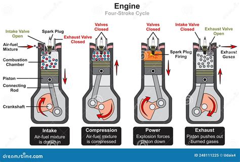 Diagramma del ciclo di combustione in un motore a quattro tempi