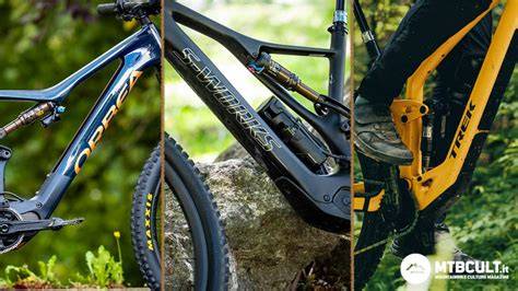 grafica confronto e-MTB Trail