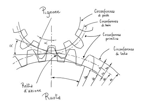 grafico-compatibilita-pignoni-micro-spline