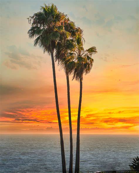 California modificata immagini esemplari