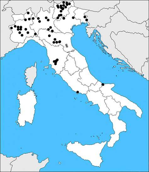mappa distribuzione usura pignoni