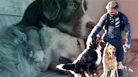 Andrea Pusateri animali cani supporto sport paralimpico