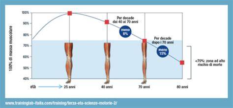 grafico andamento massa muscolare età