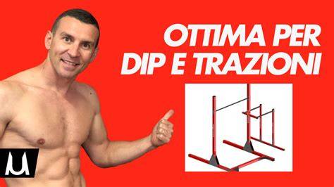 Schema di progressione per trazioni e dip zavorrati
