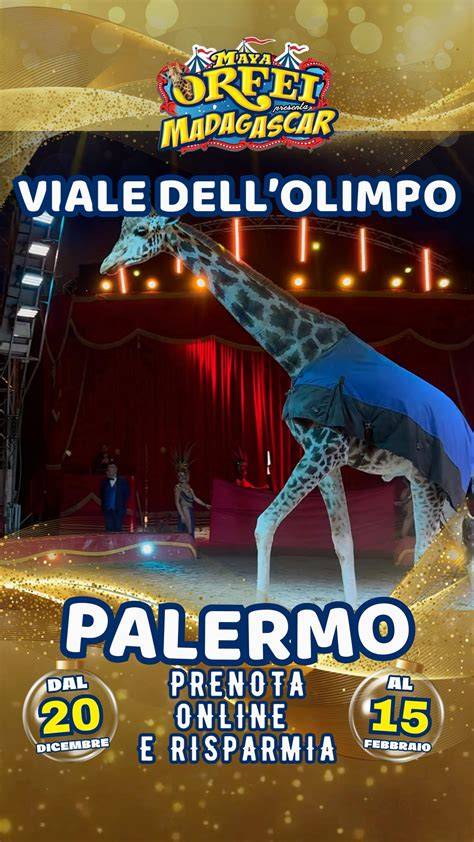 Immagine di orso in circo con pubblico